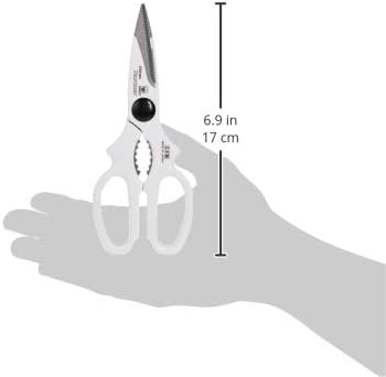 21lb9cqJoXL._AC
