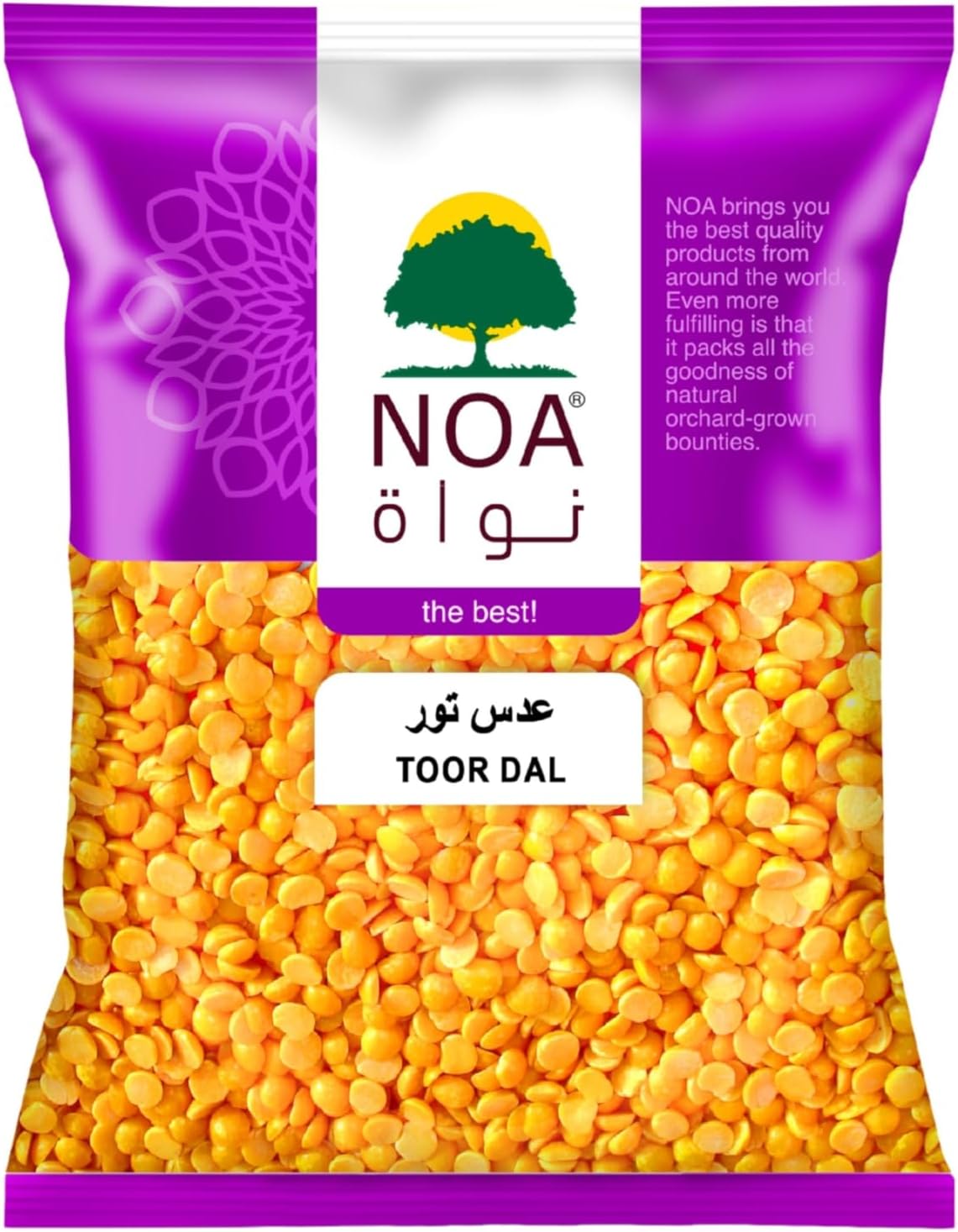71GBcStNrDL._AC_SL1500
