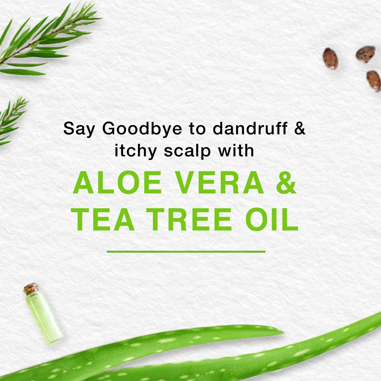 HairCareCream-Aloe_Teatreeoil_1800x1800_2c56e8eb-96b8-4dfd-af89-19bae7ebde85
