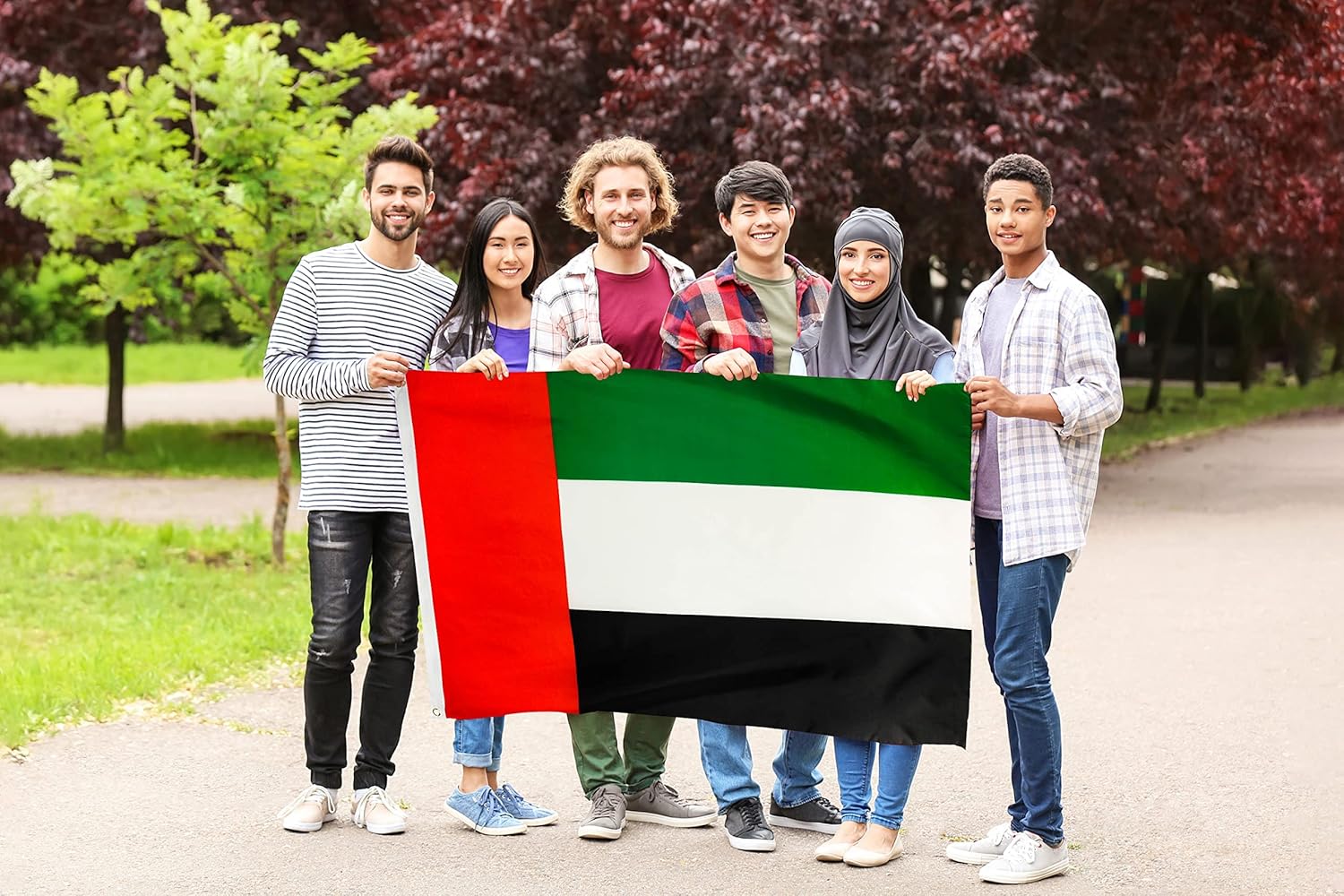 flag-national